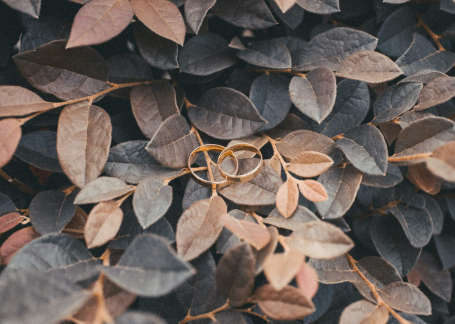 Autumn wedding rings
