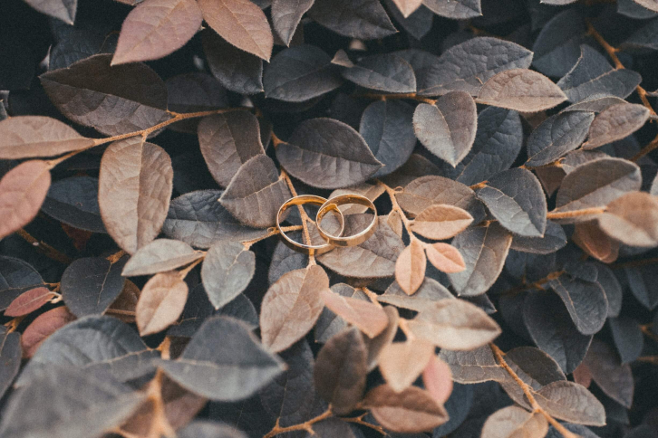Autumn wedding rings