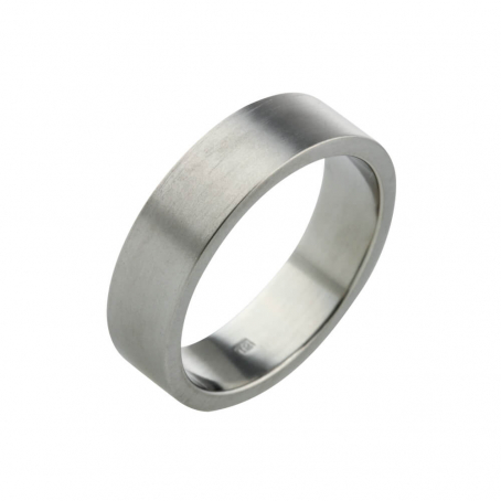 Titanium Plain Wedding Ring