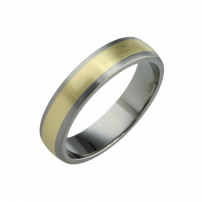 Titanium and Yellow Gold Wedding Ring